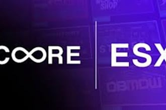 be your expert fivem developer, script any system, esx, qb core, map