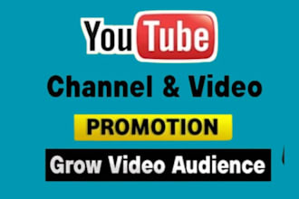 do organic youtube video promotion and maketing