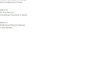 professional resume formatting and cleanup, audit ready in 24 hours
