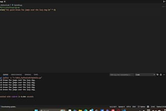 do basic python programming