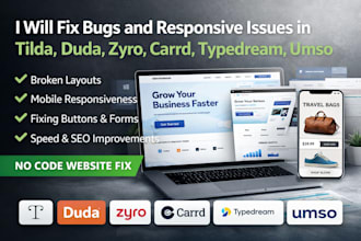 fix duda bugs responsive issues tilda duda zyro carrd typedream umso website