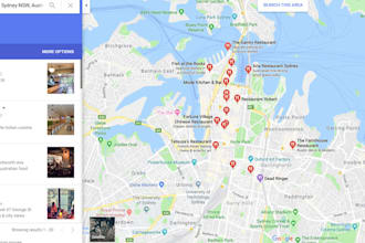 do plumbers website SEO real estate dentists, lawyers websites ranking