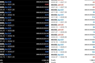 deliver profitable forex trading bot, forex trading robot, forex ea bot, gold ea