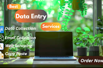 do reliable data entry, excel, copy paste and web scraping