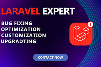 fix laravel bugs and upgrade your laravel website, backend