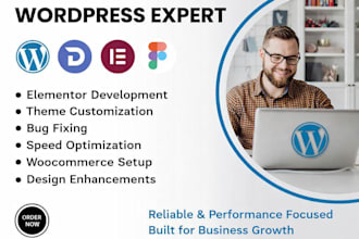 fix bugs, speed up and optimize your wordpress site professionally