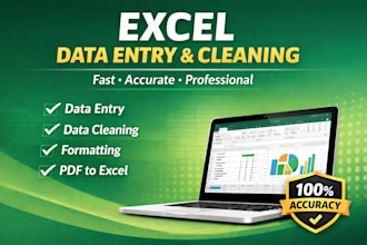 do excel data entry, data cleaning and formatting professionally