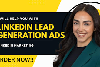 setup, optimize linkedin ads campaign for qualified b2b lead generation meta ads