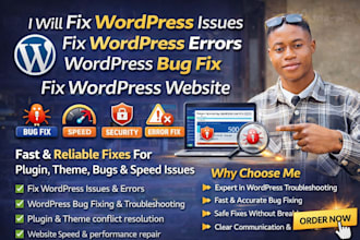 fix wordpress issues fix wordpress errors wordpress bug fix wordpress website