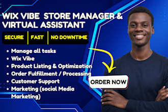 be your wix virtual assistant wix website design wix store wix vibe wix harmony