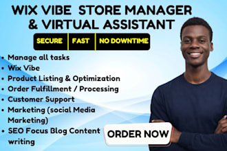 be your wix virtual assistant wix website design wix store wix vibe wix harmony