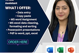 virtually assist in data entry, word, excel and ppt tasks