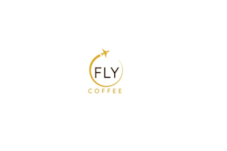 create a unique fly logo design for your business