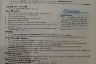 can make neat notes on biology fsc part 1