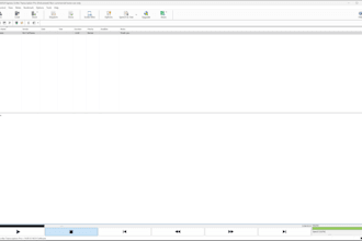 provide high quality manual transcriptions and subtitles