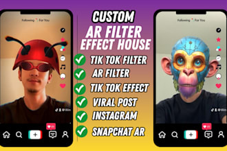 create viral ar filter tiktok effect snapchat spark ar game instagram lens 3d 2d