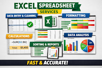 excel spreadsheet creation and data organization