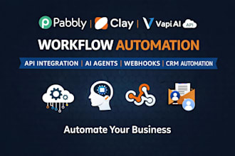 set up pabbly connect, vapi ai, clay com, keygen automation and API integration