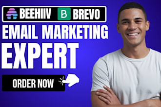 setup brevo beehiiv newsletter brevo automation, beehive landing page design