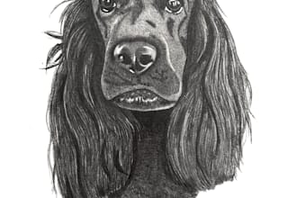 draw your vehicle, portrait or pet in graphite