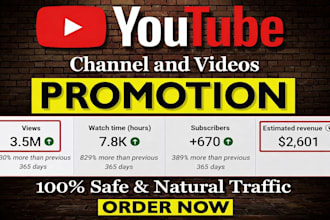 complete youtube channel monetization, channel view promotion and subscription