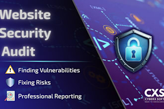 perform website security audit and vulnerability assessment