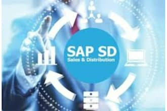provide sap sd configurations, help in sap sd real time issues and training