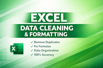 ms excel data cleaning and formatting