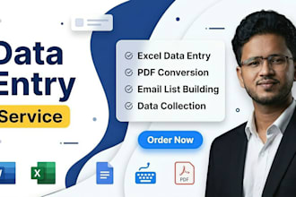do fastest accurate excel data entry, pdf conversion, typing