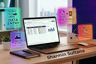 do data entry, image to excel, PDF to excel or word and data entry