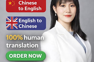 translate english to chinese and chinese to english professionally