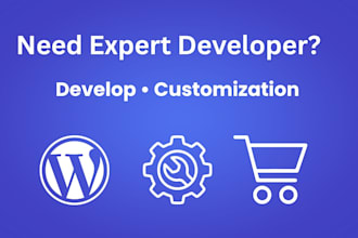 develop or customize wordpress plugins