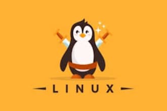 fix, troubleshoot and optimize your linux server issues professionally