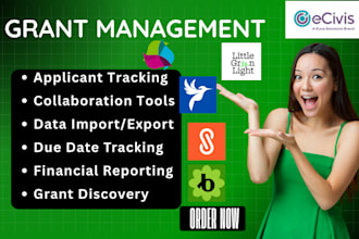 help ngos and nonprofits set up and automate grant management systems