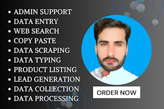 do fast accurate public records data entry and data typing