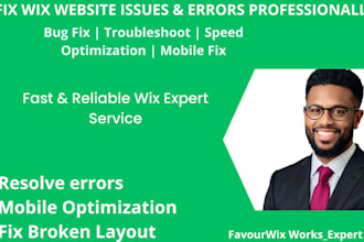fix website issues,bugs,and errors professionally