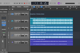 professionally mix and master your song
