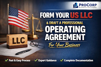 form your US llc and draft a professional operating agreement for your business