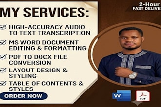 provide high quality english audio or video transcription