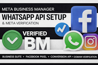 fix meta business verification, whatsapp API, domain verification, meta pixel