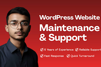 provide monthly wordpress website maintenance and support