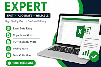 do fast and accurate data entry, excel, copy paste work