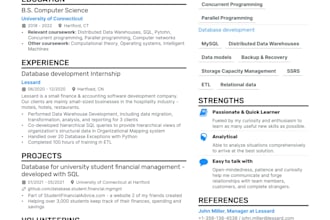 design a professsional CV