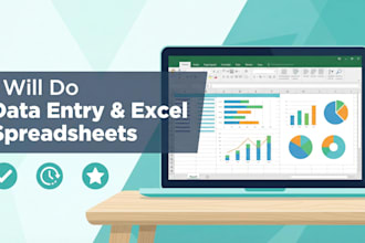data entry, excel spreadsheets, and data organization