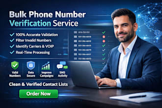 verify bulk phone numbers for accurate SMS marketing