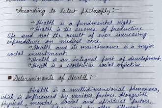 supply handwritten notes, letters or assignments