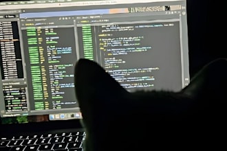 develop custom python scripts and fix logical bugs