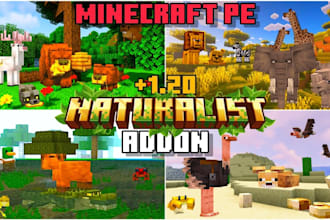 build custom minecraft plugin, bedrock addons and minecraft mod for java