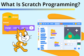 teach the scratch programming