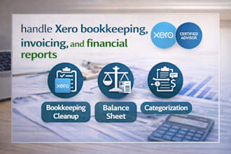 handle xero bookkeeping, invoicing, and financial reports